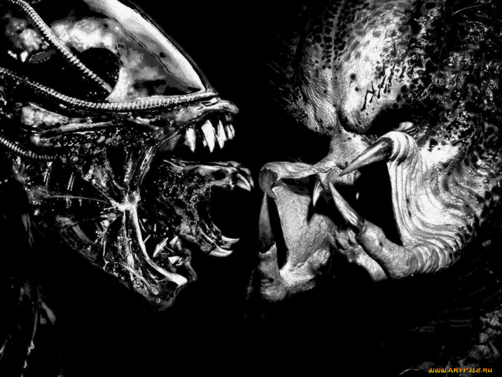 aliens, vs, predator, , , alien